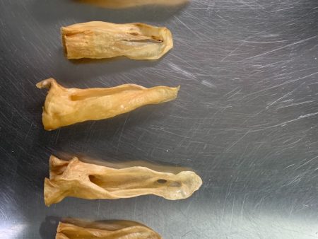 LAMB EAR